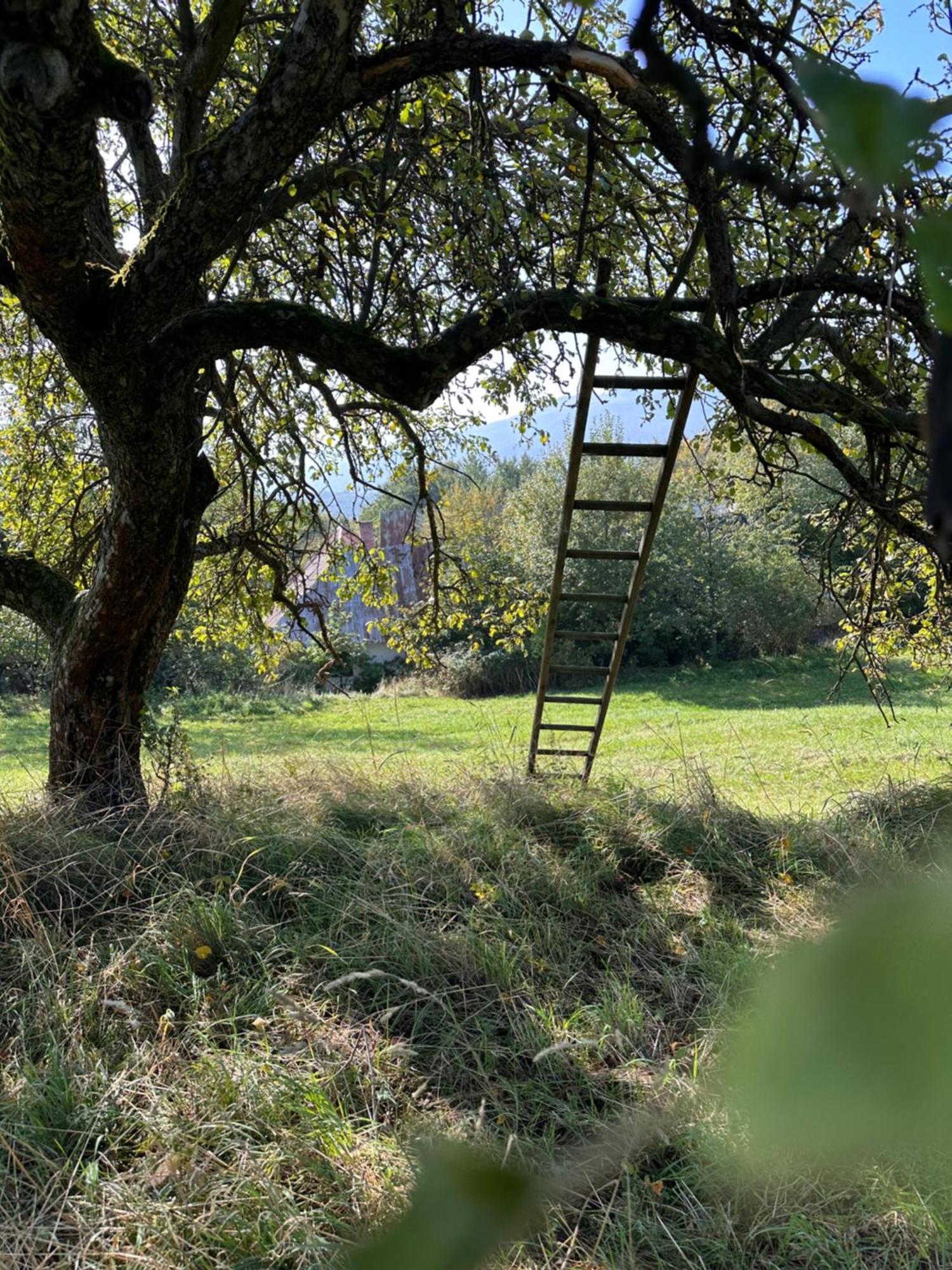 Nadherne Misto Pro Vas Relax V Prirode Uherské Hradiště Exteriér fotografie
